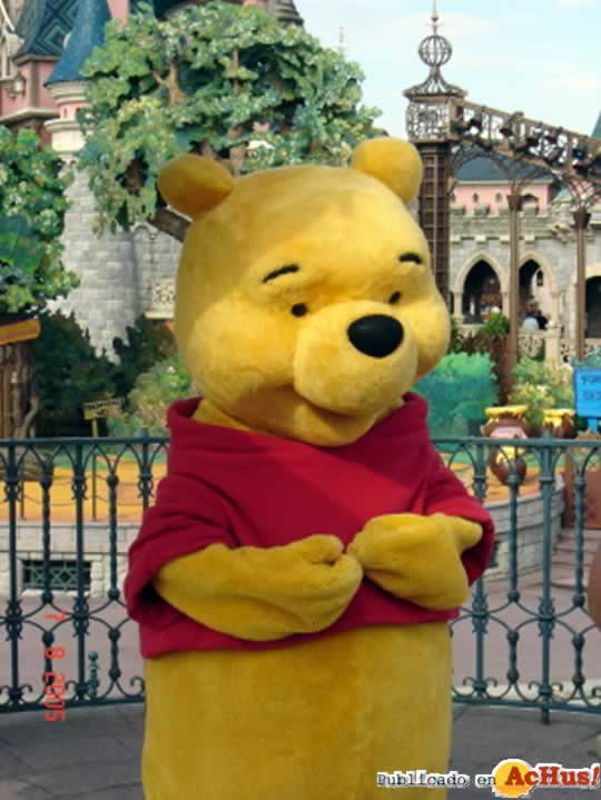 Imagen de Disneyland Paris  Winnie 2